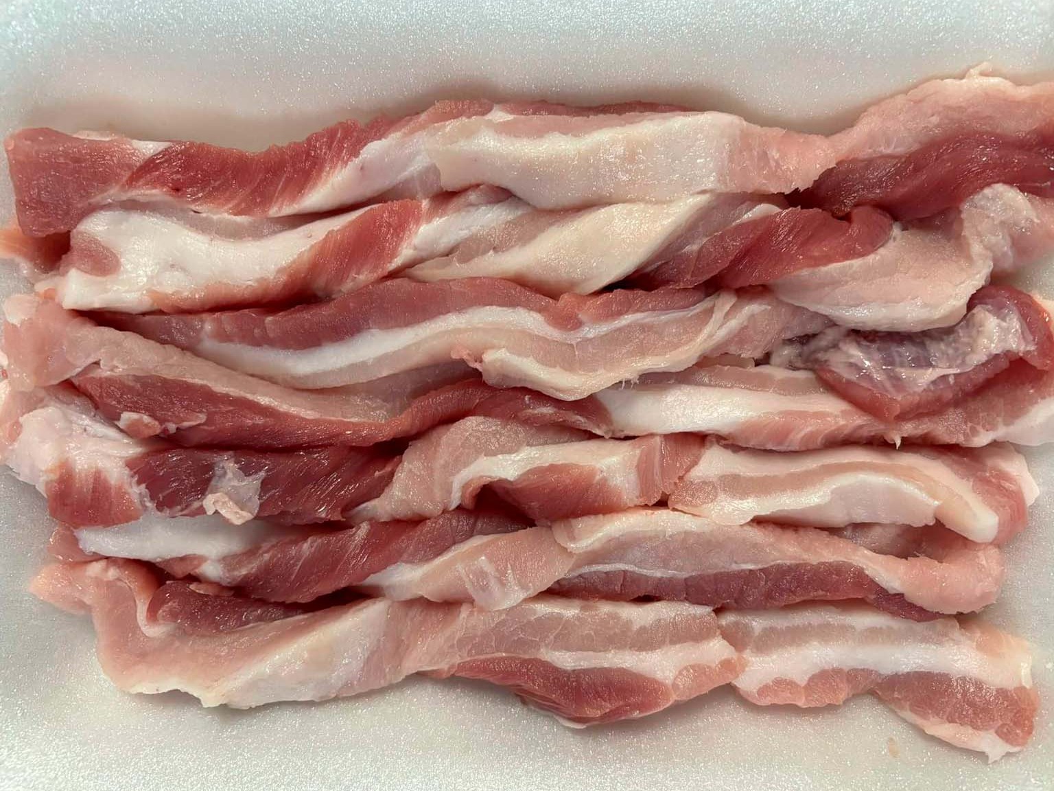 Lagartos de Porco Monte